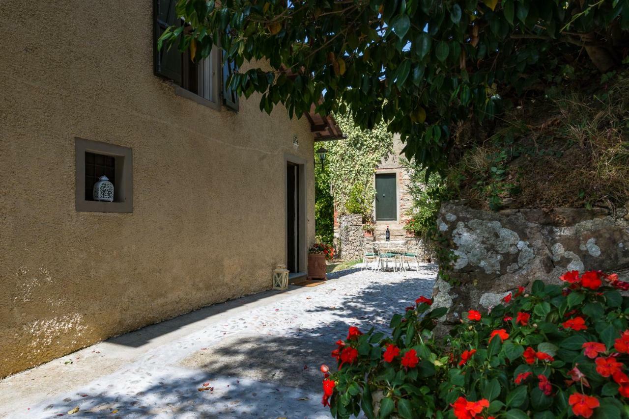 Villa Brancoli كابانّوري المظهر الخارجي الصورة